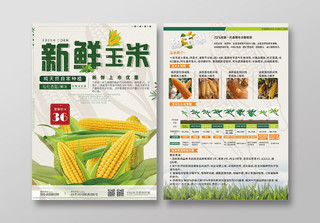 绿色简约几何新鲜玉米宣传单页